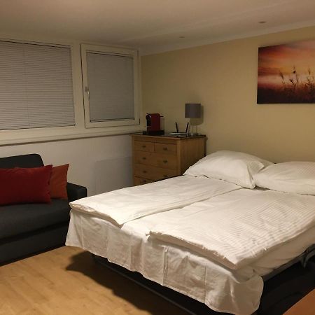 Cosy Flat In The Quiet Area With Own Garden, Free Parking And Direct Public Transport Link To The Centre Lejlighed Wien Eksteriør billede