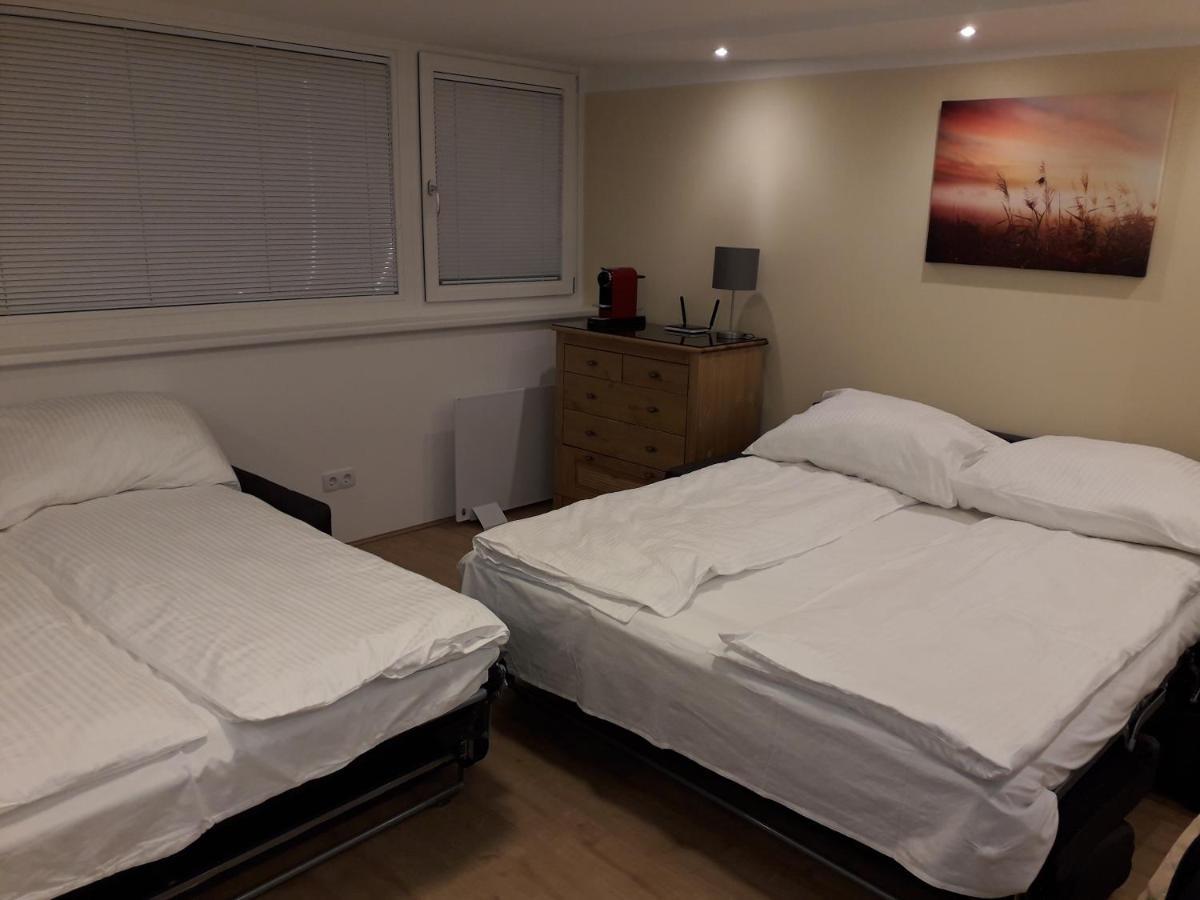 Cosy Flat In The Quiet Area With Own Garden, Free Parking And Direct Public Transport Link To The Centre Lejlighed Wien Eksteriør billede
